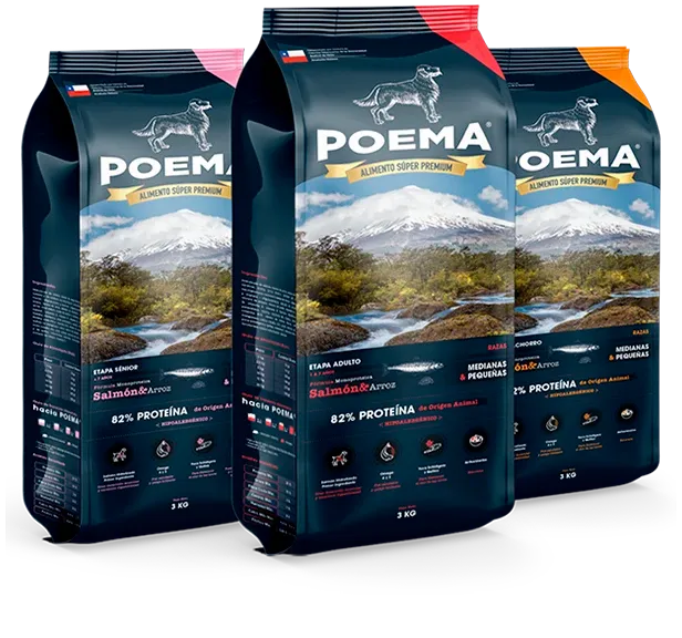 Poema Salmón & Arroz
